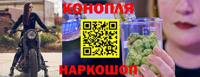 прущие крисы Малгобек
