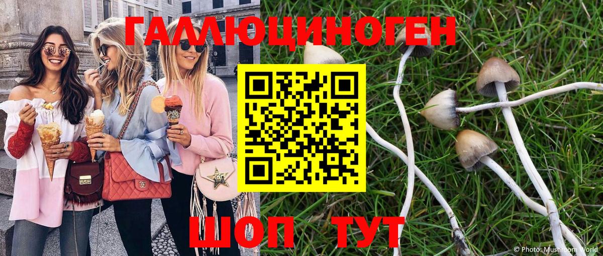 Псилоцибиновые грибы GOLDEN TEACHER  Вход с VPN  Вичуга 